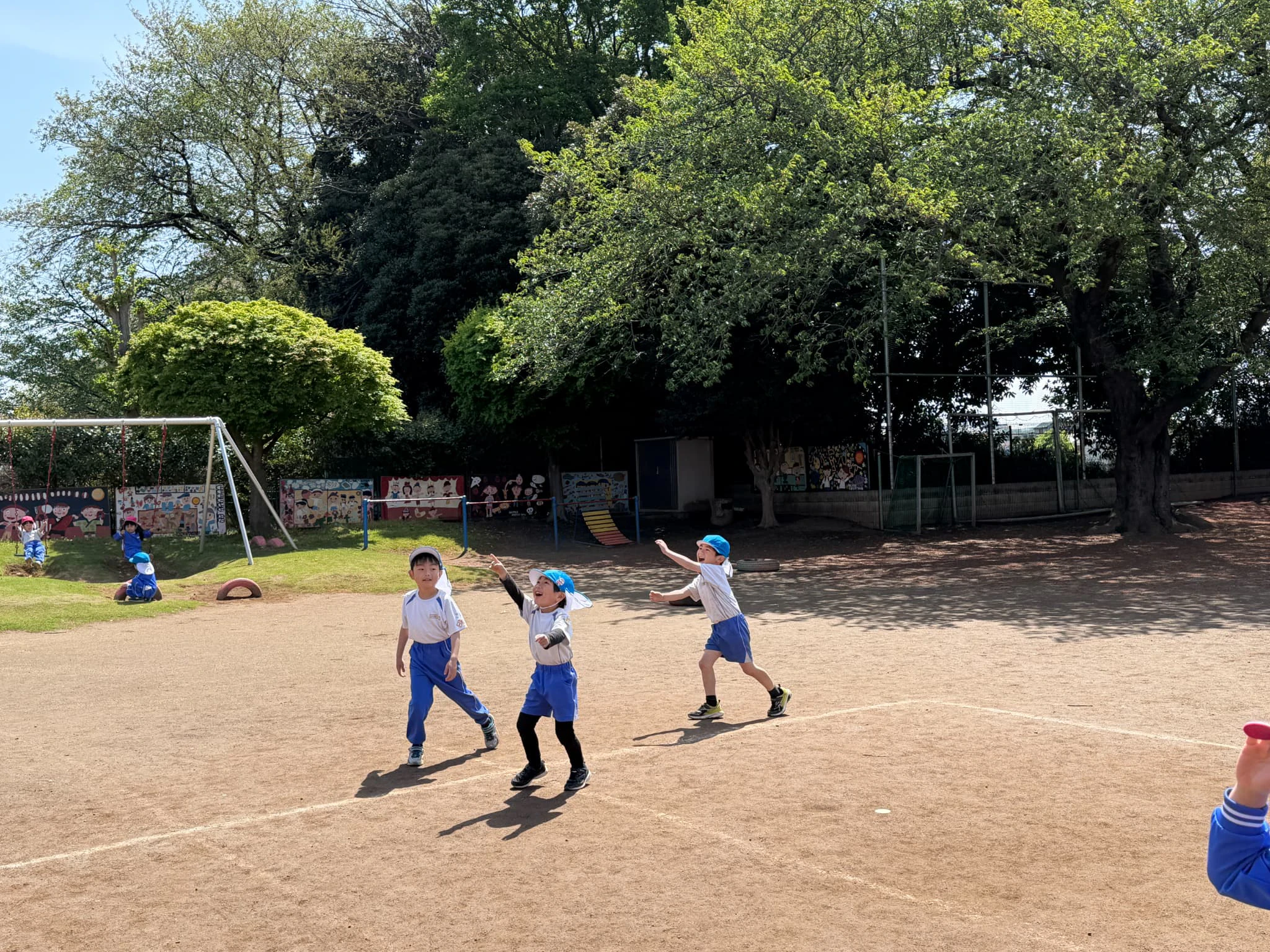 園庭に泳ぐ鯉のぼりを見上げてう男の子