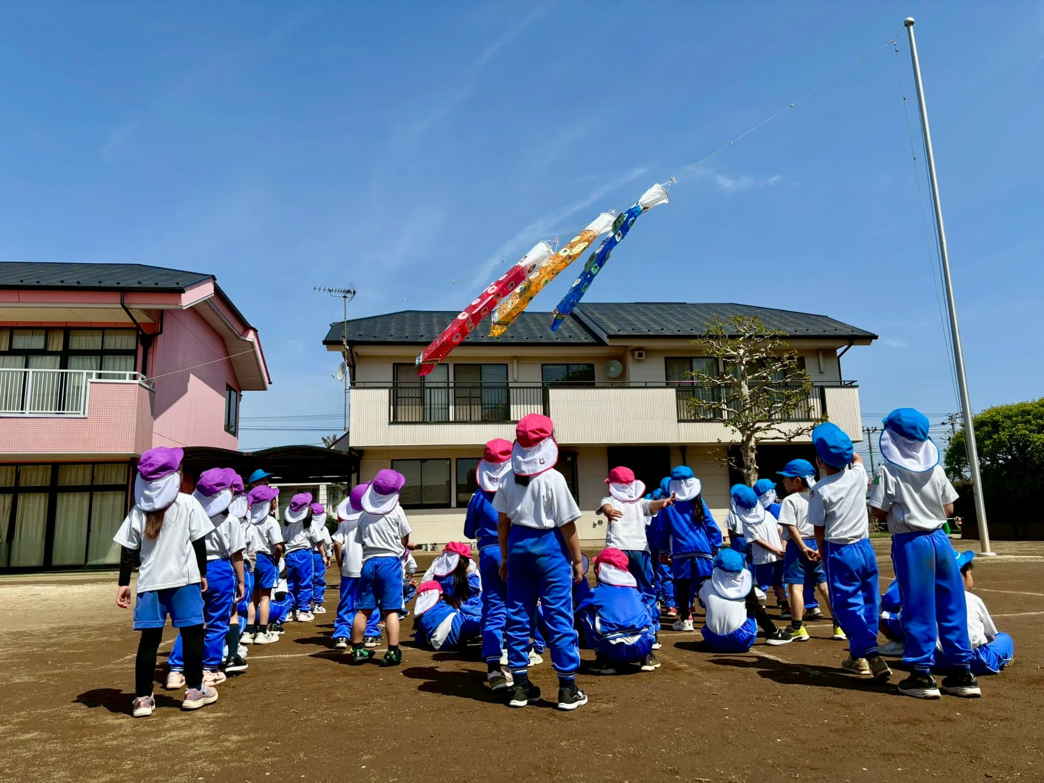 年長さんが作った鯉のぼりが園庭に飾られてみんなで見守っている様子