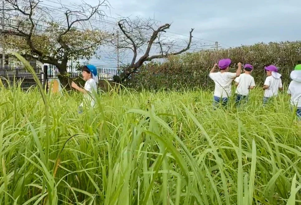草むらを走り回る子どもたち