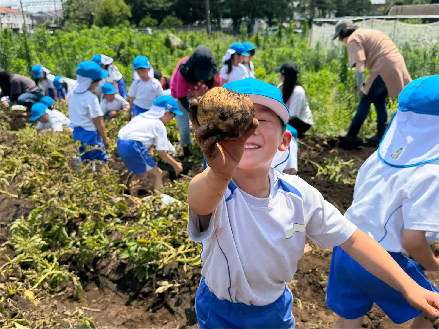 みもみ幼稚園の農園で大きなジャガイモを泥んこになりながら笑顔で見せる男の子