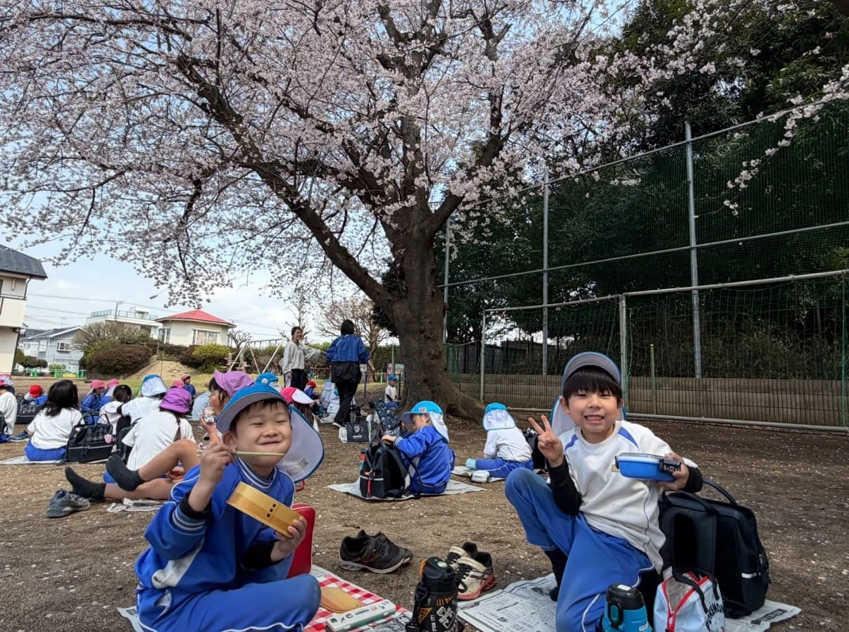 みもみ幼稚園の桜の木の下でお花見をしながらお弁当を食べる子ども達
