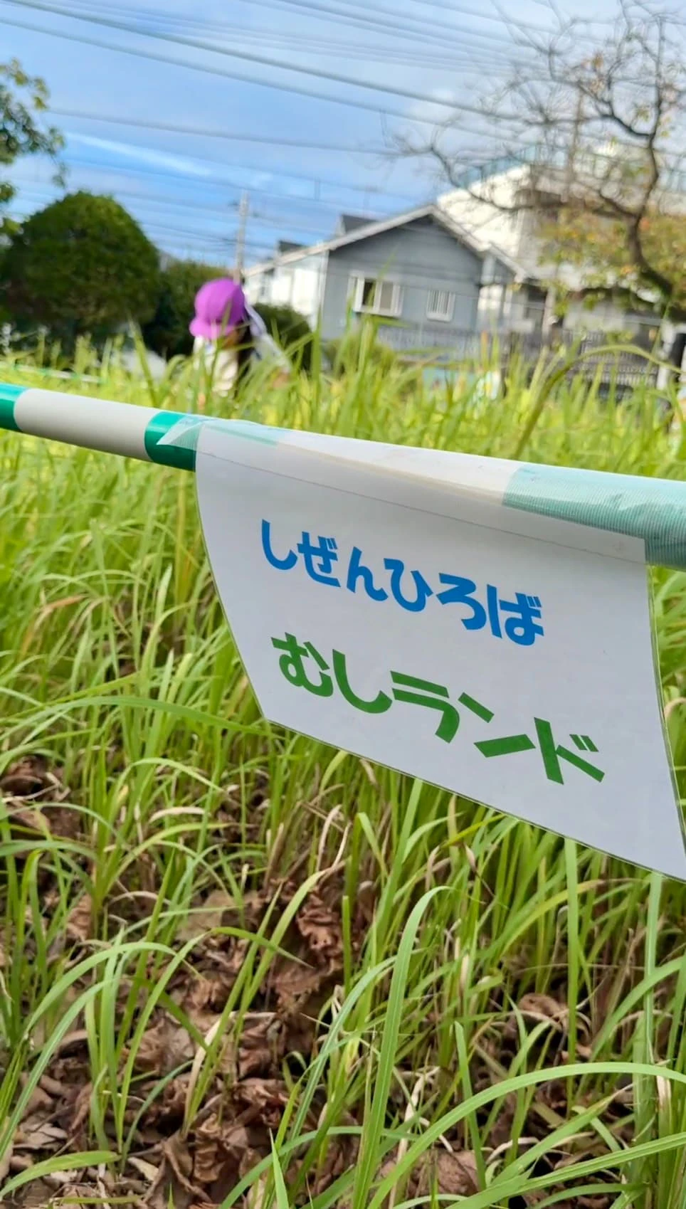 みもみ幼稚園の虫が沢山いる虫ランド