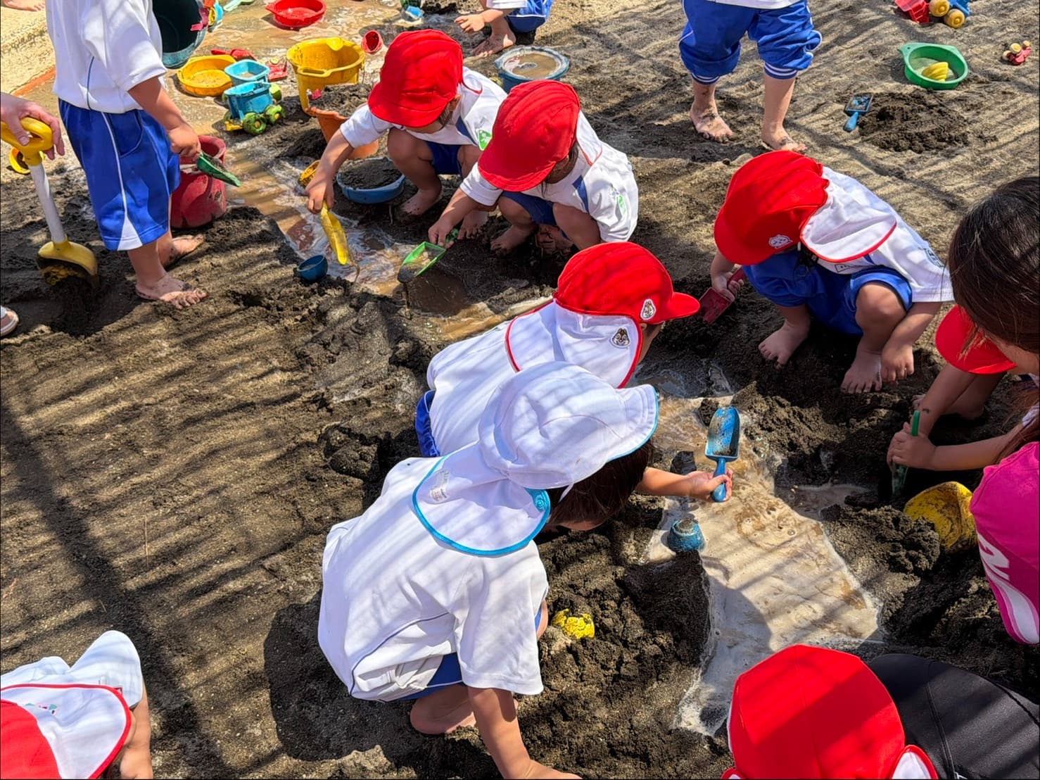 自然豊かな環境でのびのびと成長する習志野市の幼稚園｜みもみ幼稚園