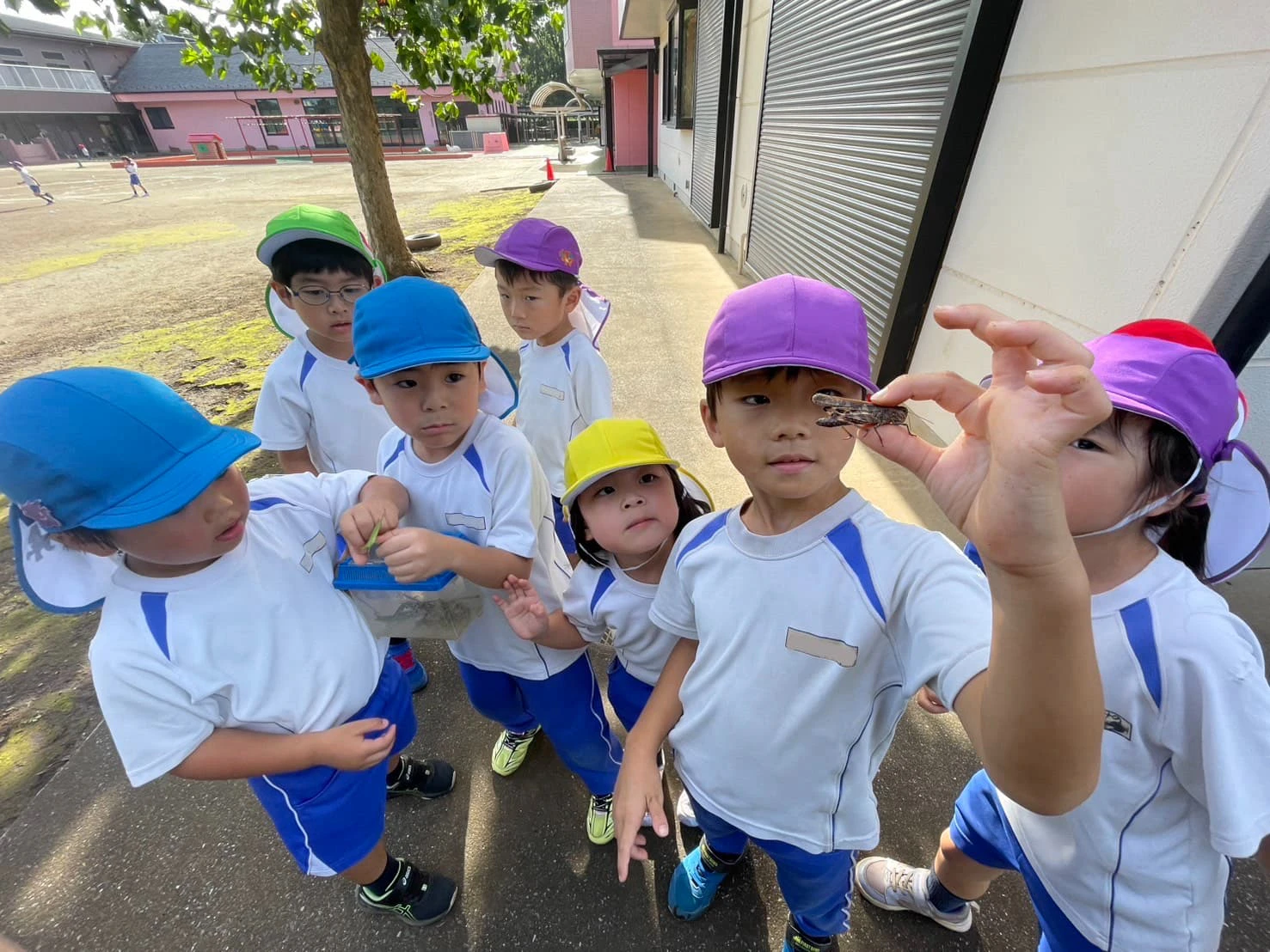 みもみ幼稚でを捕まえた男の子と興味深そうに見る子どもたち