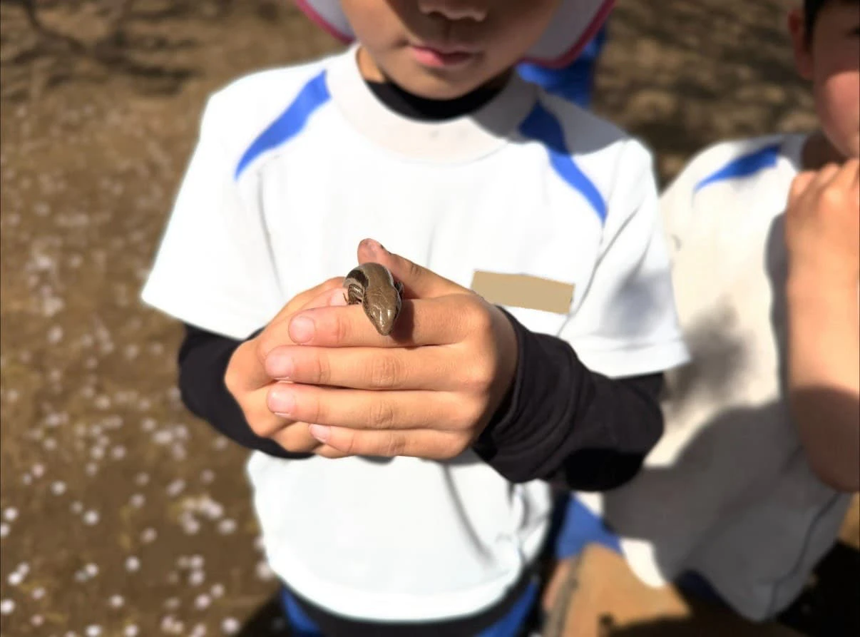 カナヘビを見つけて手にのせる男の子