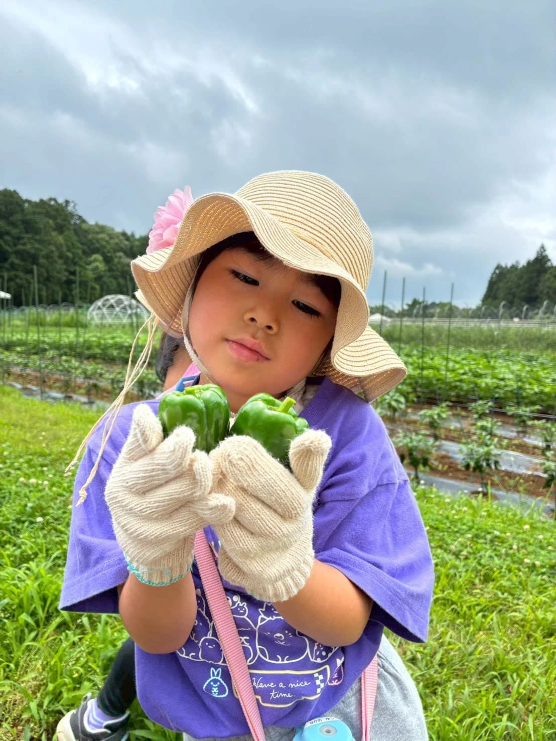 みもみ幼稚園の体操教室のキャンプで野菜を収穫した女の子