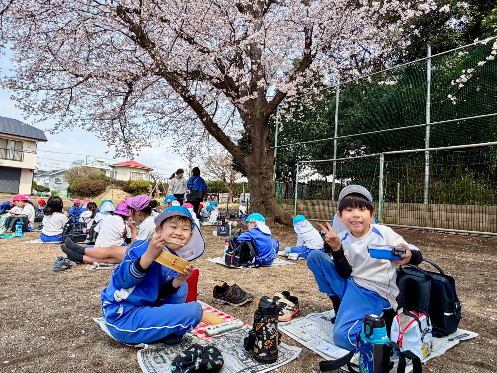 園庭の桜の木の下でお弁当を食べる男の子ふたり