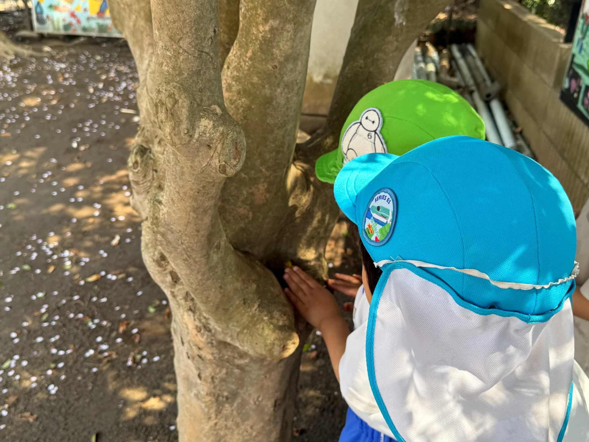 木の幹の虫を探す子どもたち