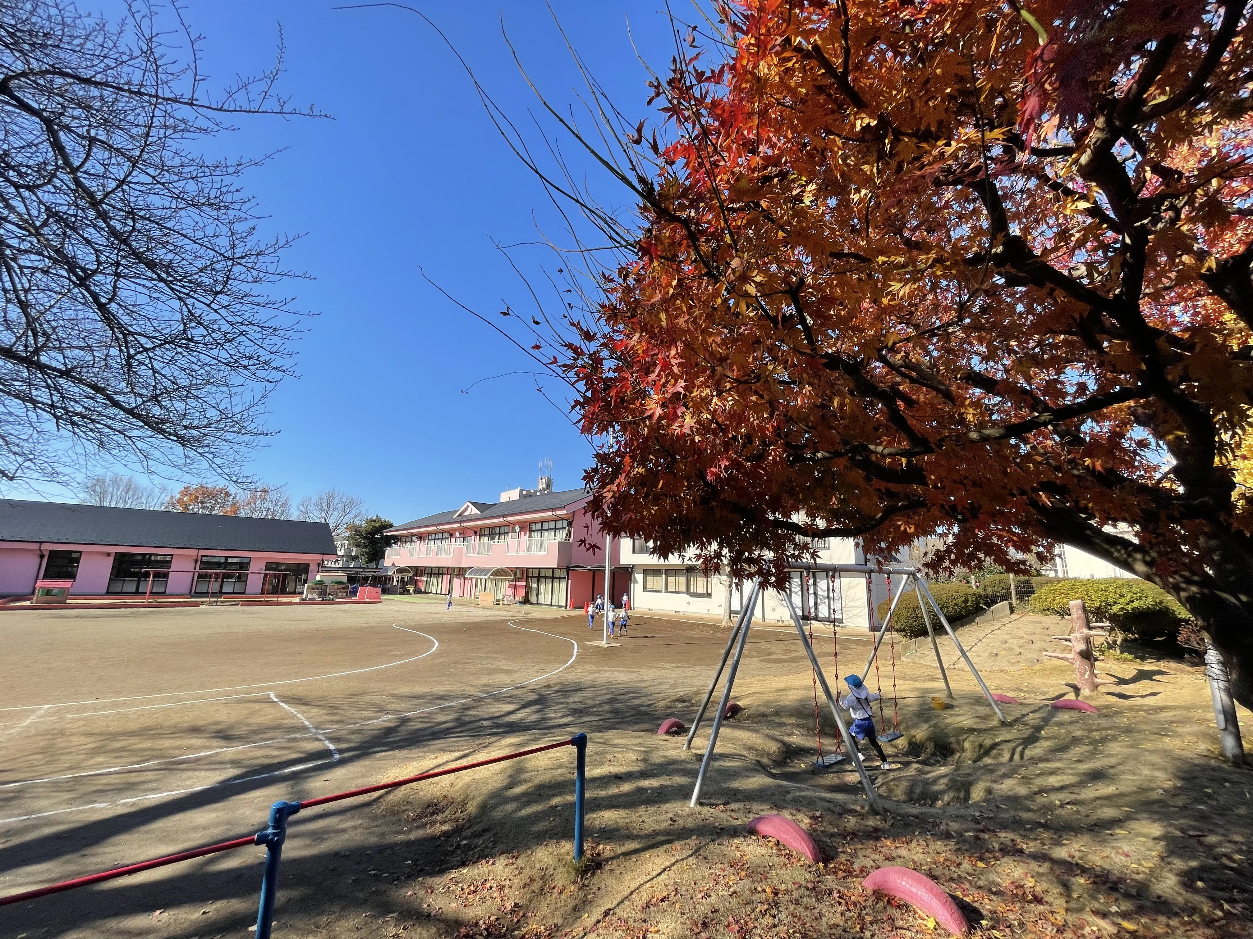 紅葉した木や鉄棒、ブランコがある幼稚園の園庭