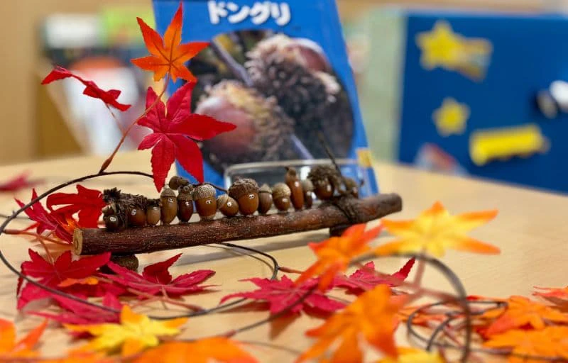 もみじやどんぐり、どんぐりの絵本などが展示されている様子