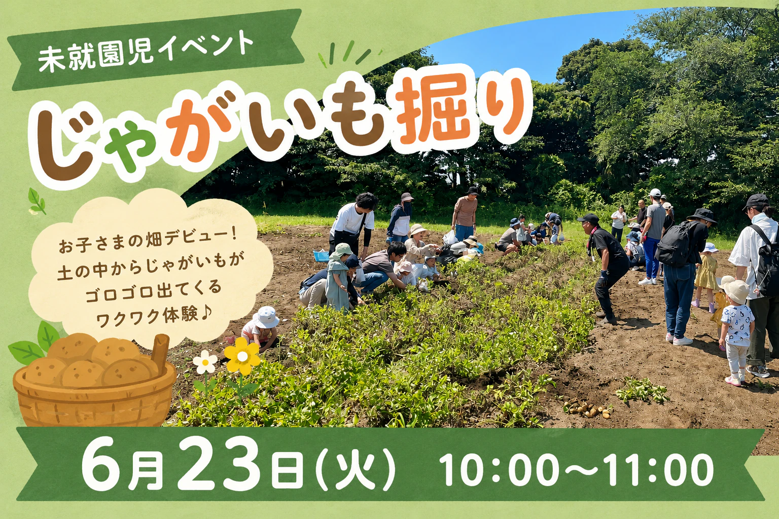 【未就園児イベント】6/23(火)　園庭開放「じゃがいも掘りをしよう！🥔🌱」のお知らせ｜みもみ幼稚園