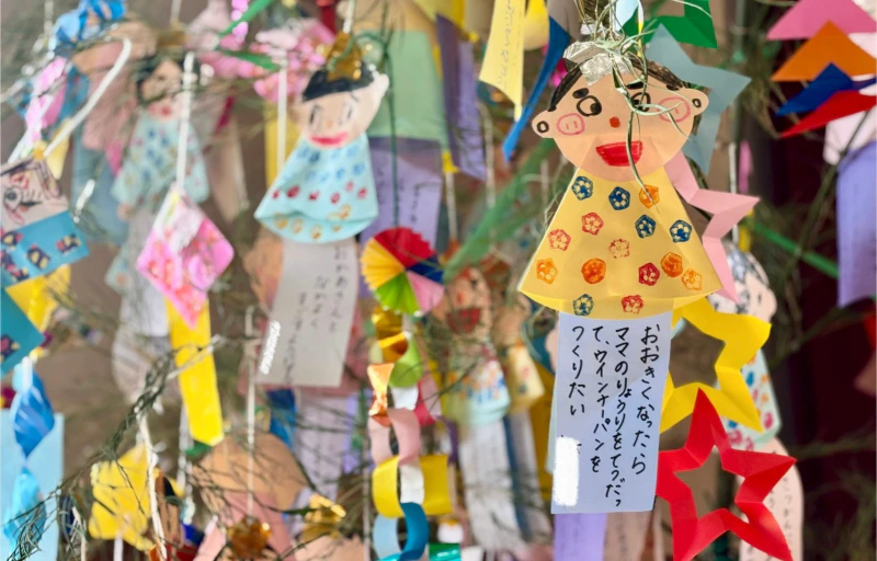幼稚園の笹の葉に子ども達の短冊が飾られている様子