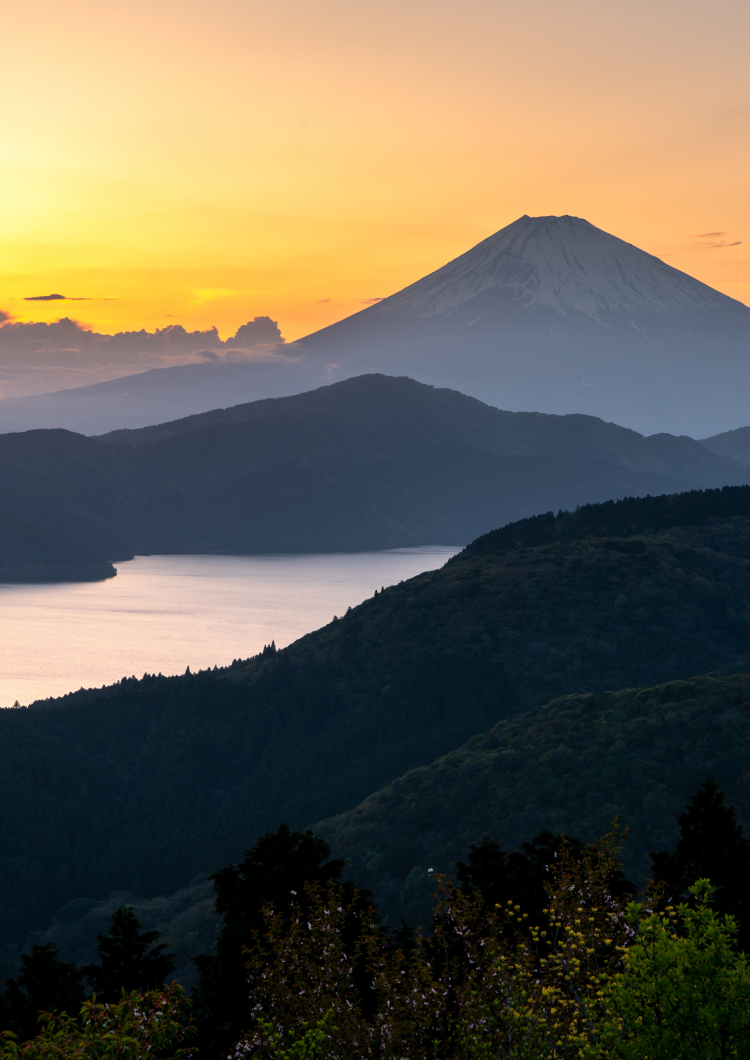 [Short Stay] Learn to Make Sushi from a Master Chef on an Overnight Stay at Elegant MONS GORA in Hakone