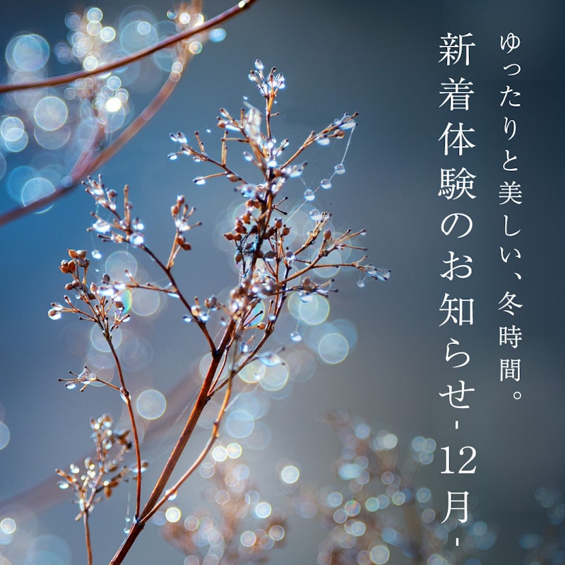 体験の画像