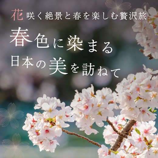 桜咲く絶景と春を楽しむ贅沢旅の画像