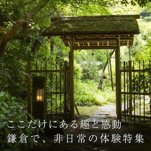 鎌倉で、非日常の体験特集の画像