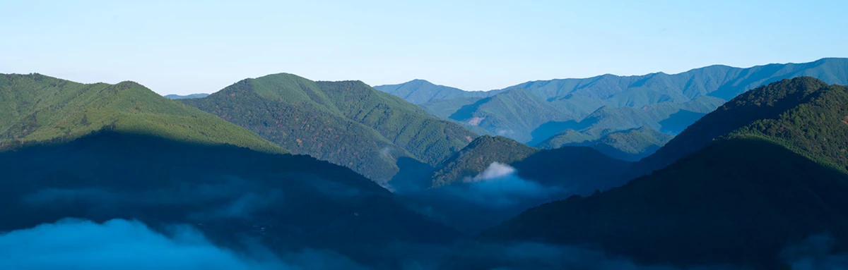 和歌山の体験一覧のアイキャッチ画像