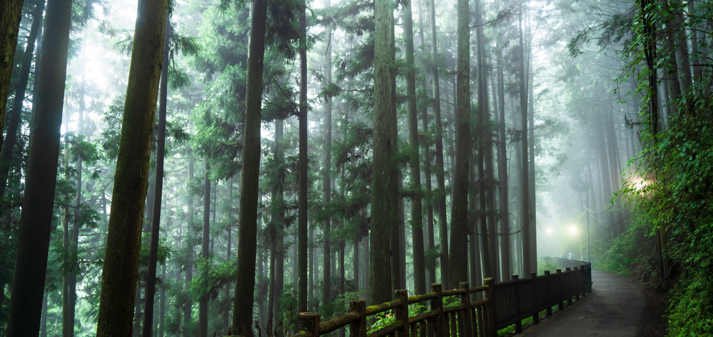 [Short Stay] Explore Sacred Mt. Mitake on a Guided Hike and Relax with an Overnight Stay at a Private Riverside Villa