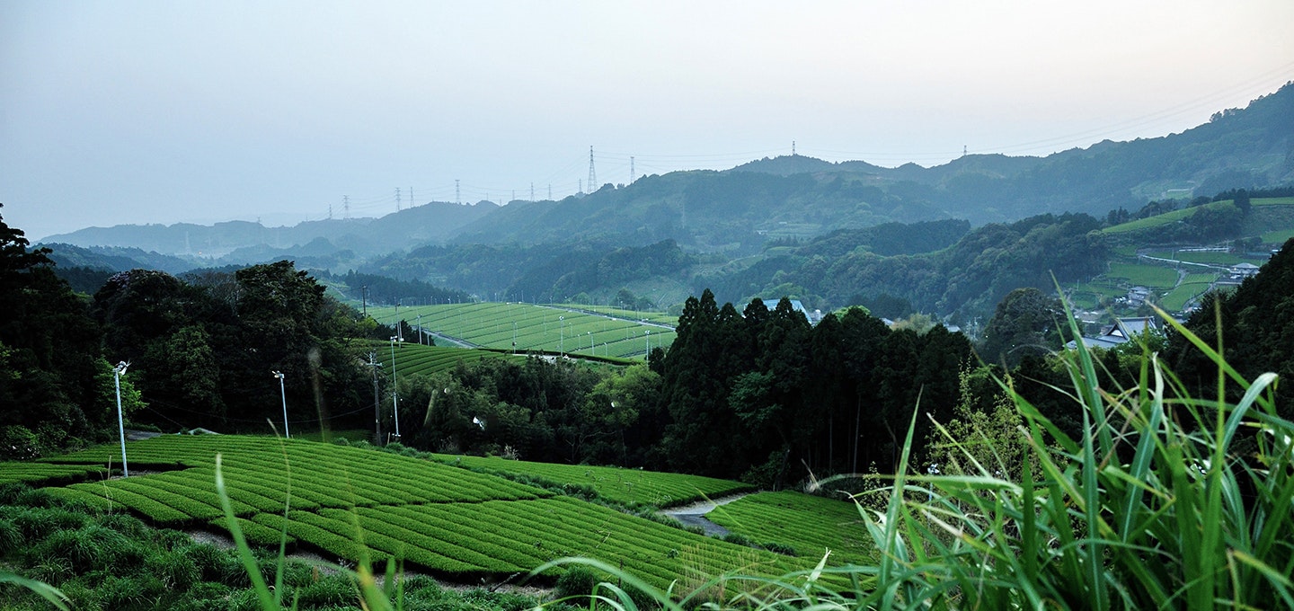 体験詳細トップ