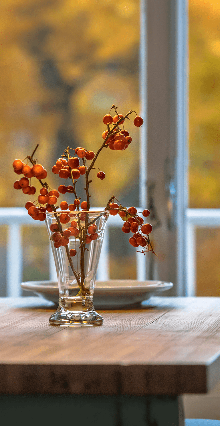 新着体験のお知らせ −11月−