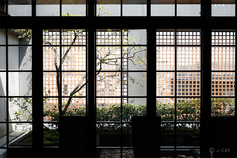 主催者画像-0