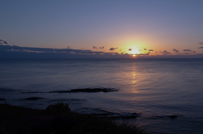新着体験のお知らせ −2026年1月−