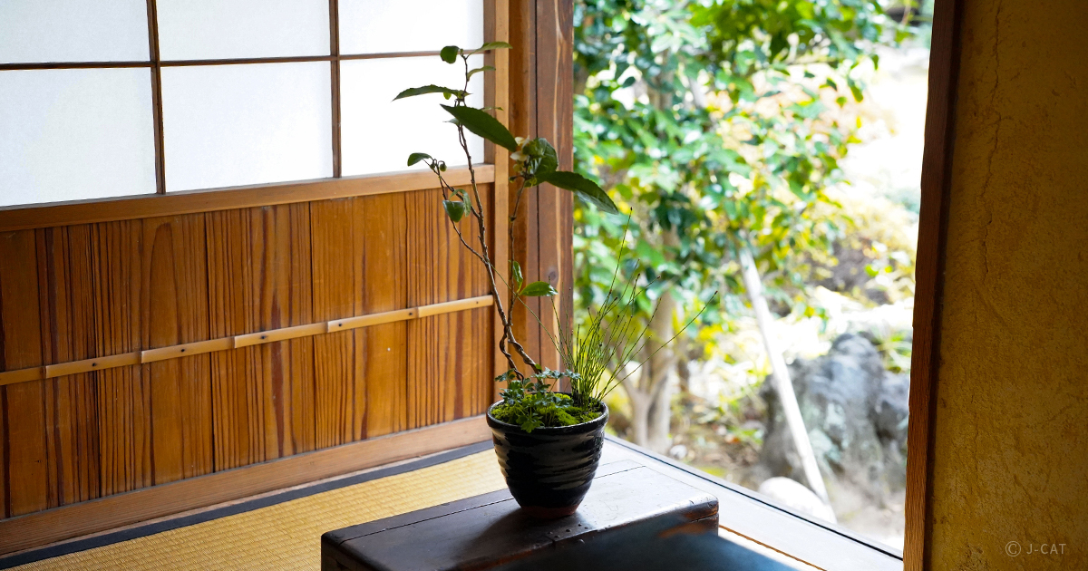 nakanoya-3bonsai_OG3-c.jpg