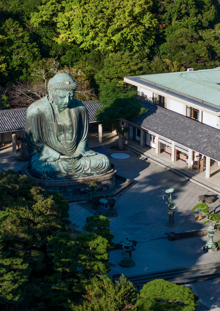 [Multi-Day Journey] The Way of Wabunka: Discover Japan’s Refined Elegance in Tokyo, Kamakura, Kyoto, and Osaka