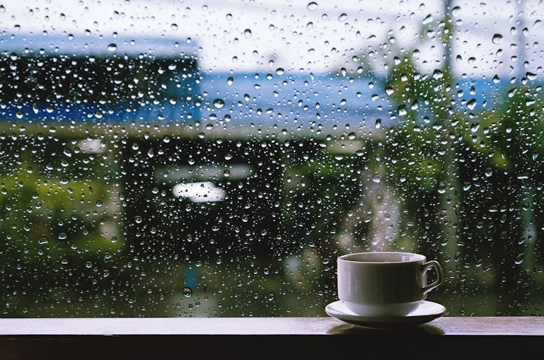雨の日も楽しめる体験特集