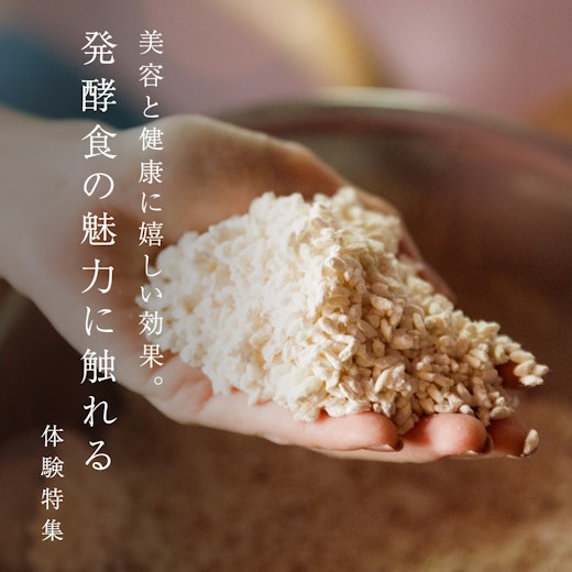 発酵食の魅力に触れるの画像