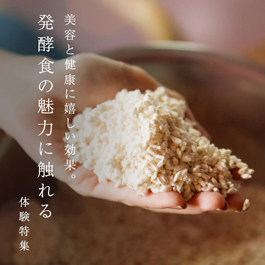 発酵食の魅力に触れるの画像