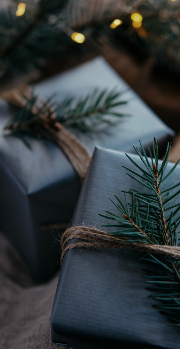 新着体験のお知らせ −12月−