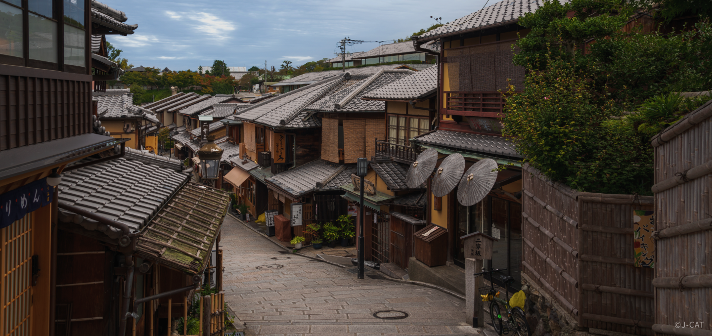 [8 Days] Immersive Japanese Crafting Experience in Tokyo, Kanazawa, Kyoto, Nara & Osaka