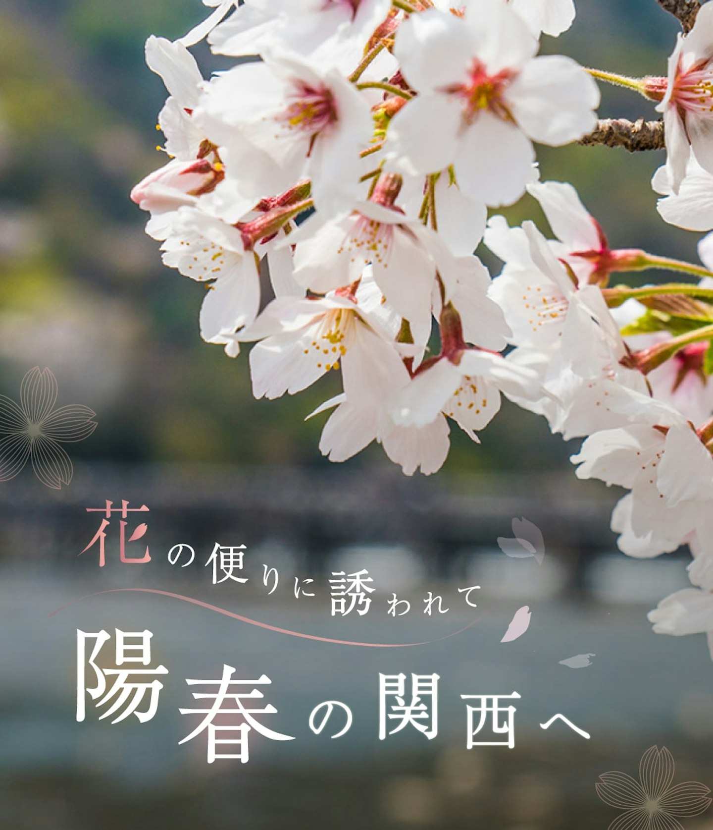 特集ページトップ画像