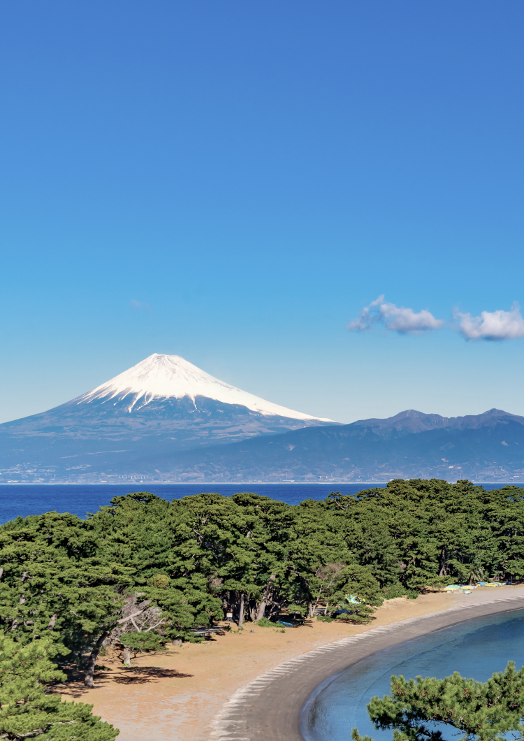 [6 Days] Following in Hokusai’s Footsteps in Tokyo, Hakone, Shizuoka and Yamanashi