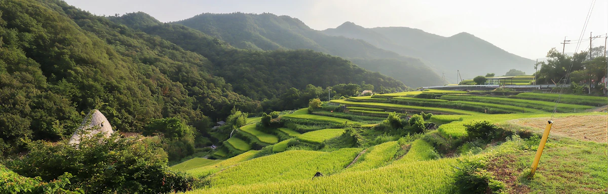 静岡の体験一覧のアイキャッチ画像
