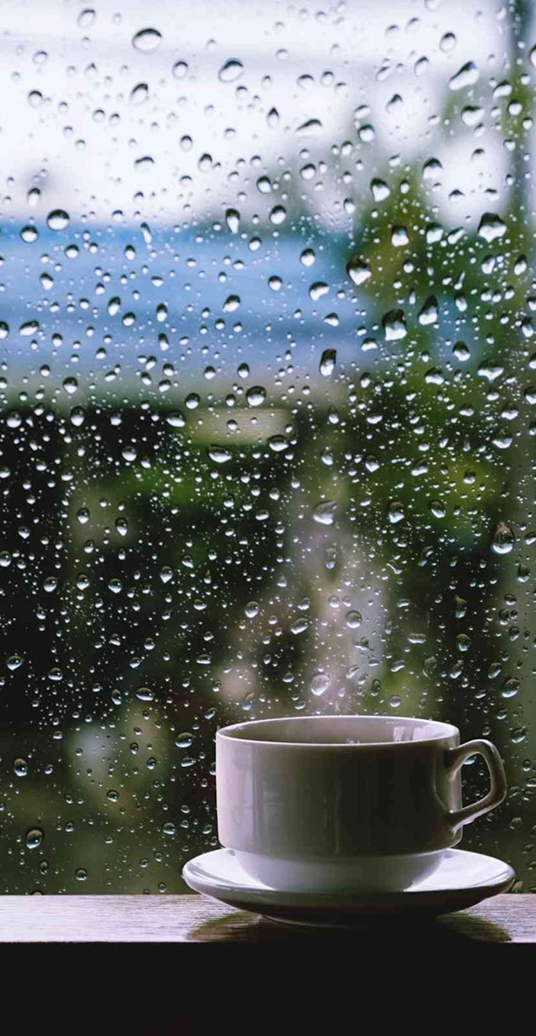 雨の日も楽しめる体験特集