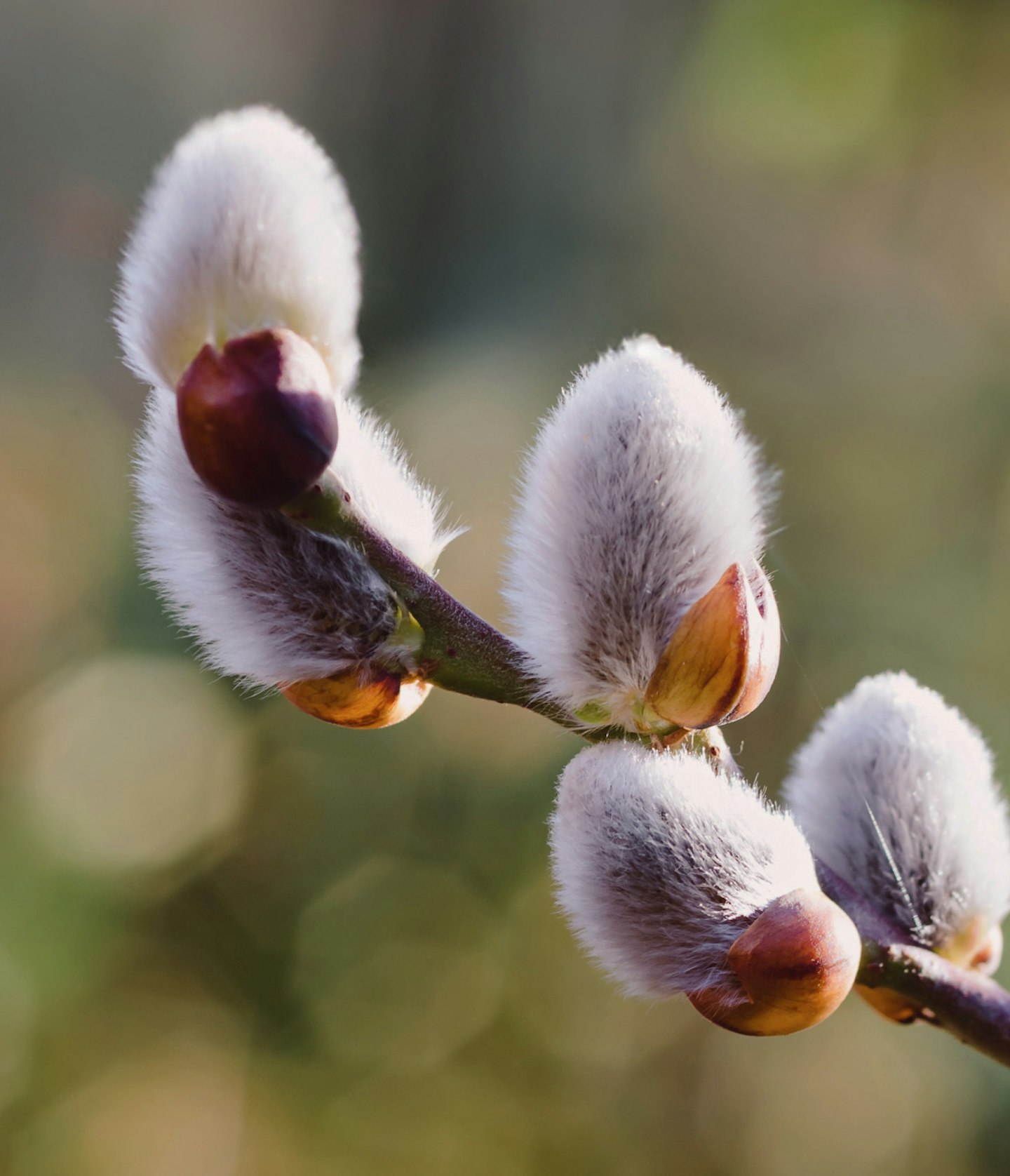 特集ページトップ画像