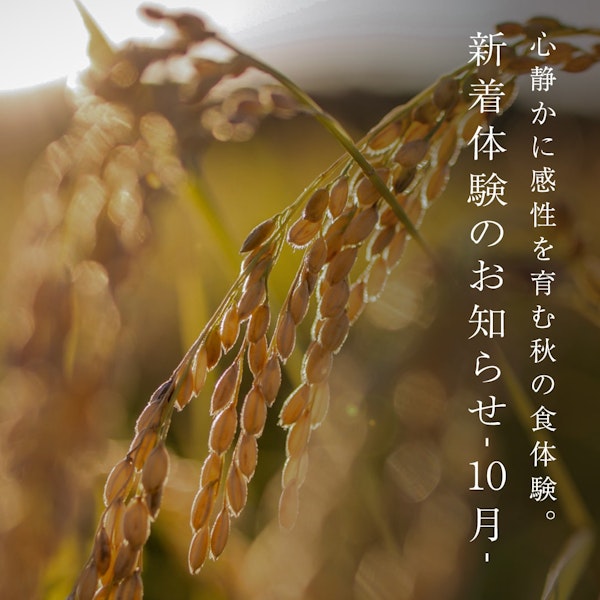 体験の画像