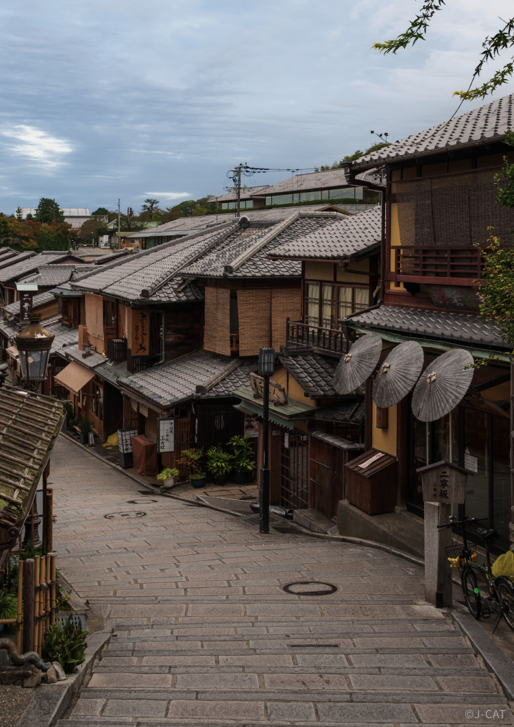  [8 Days] Immersive Japanese Crafting Experience in Tokyo, Kanazawa, Kyoto, Nara & Osaka
