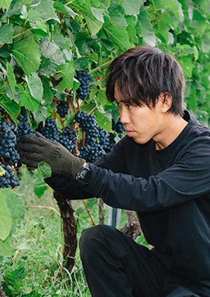 人を惹きつける、不思議な魅力を持つワイン。その面白さを多くの人と分かち合いたい。の画像