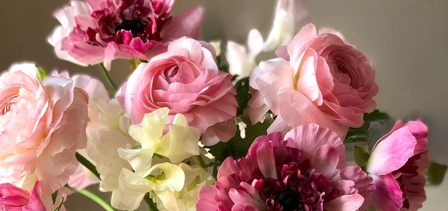 体験詳細トップ