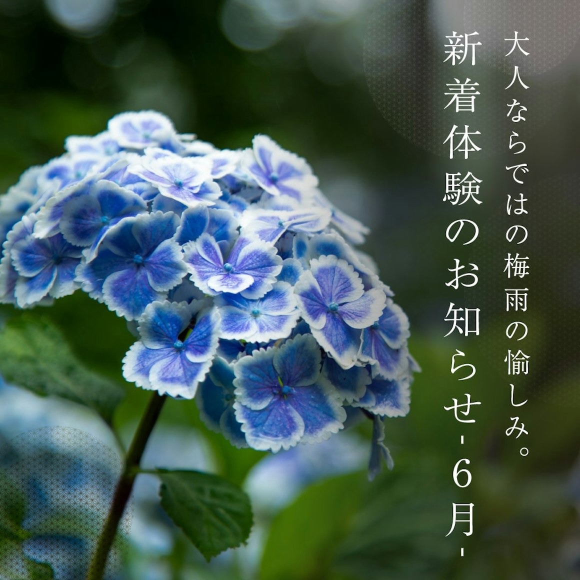 体験の画像