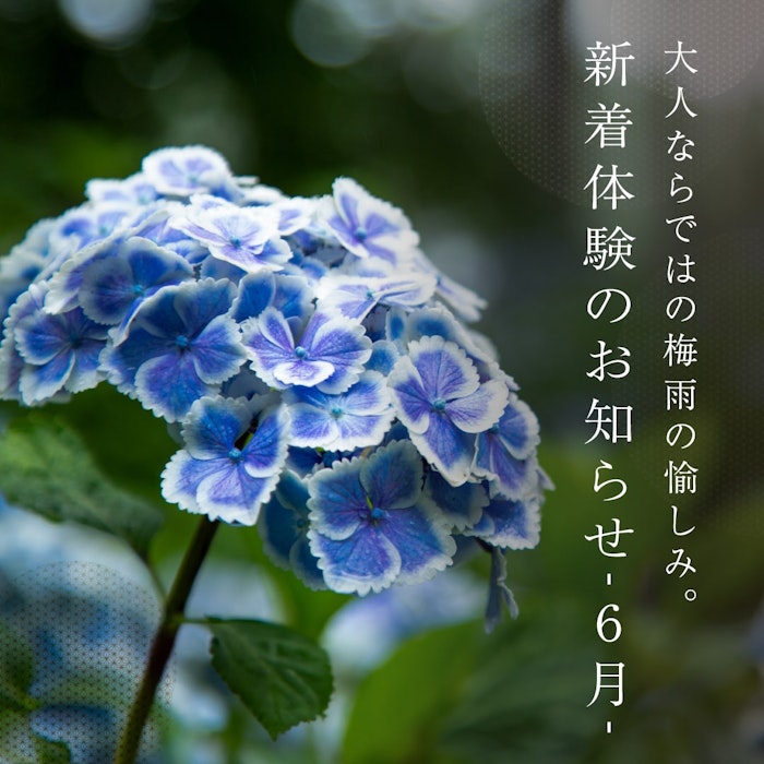 新着体験のお知らせ −6月−
