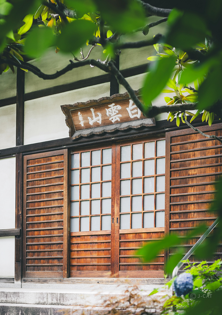 [1 day] Temples, Traditions, and Bonsai Around Asakusa