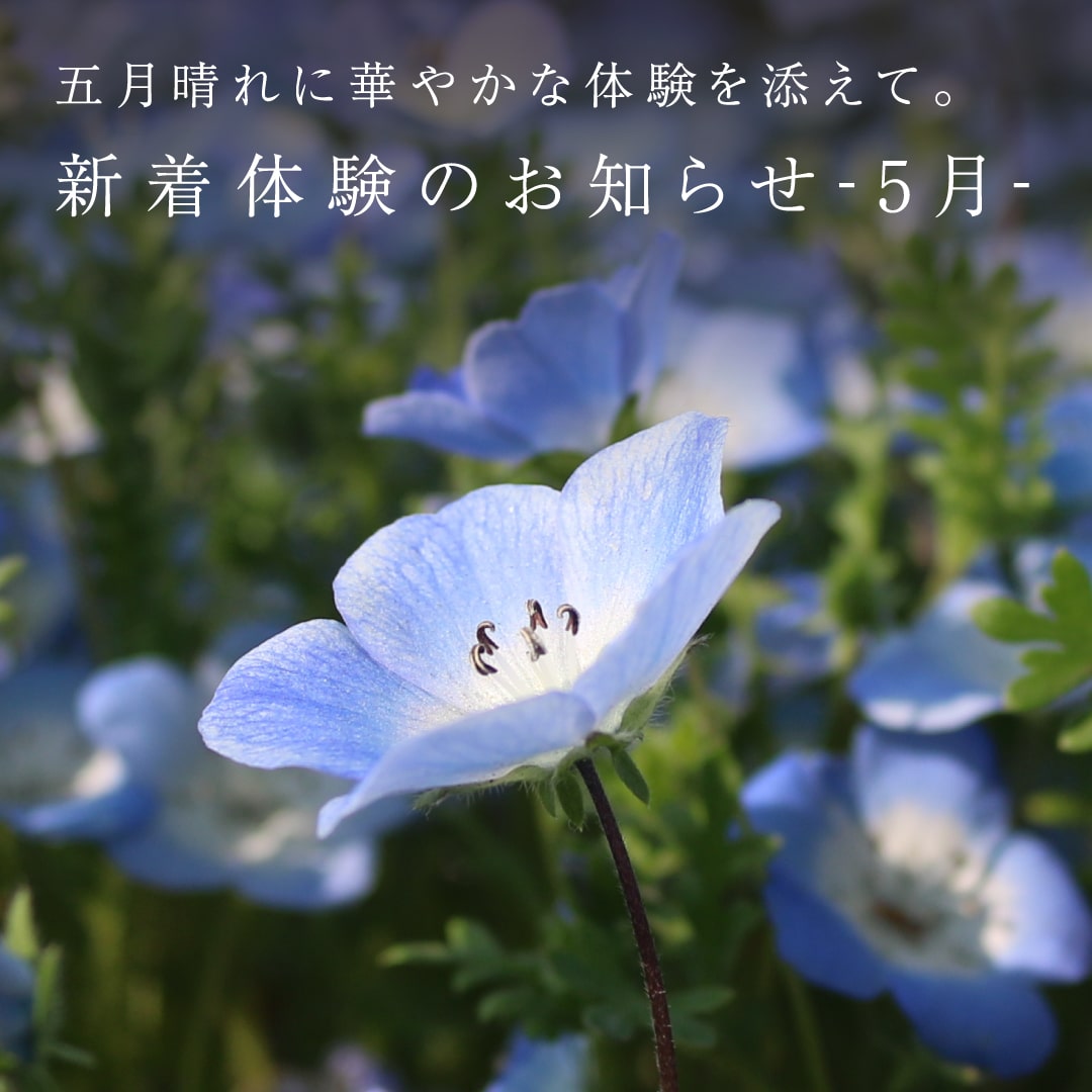 体験の画像