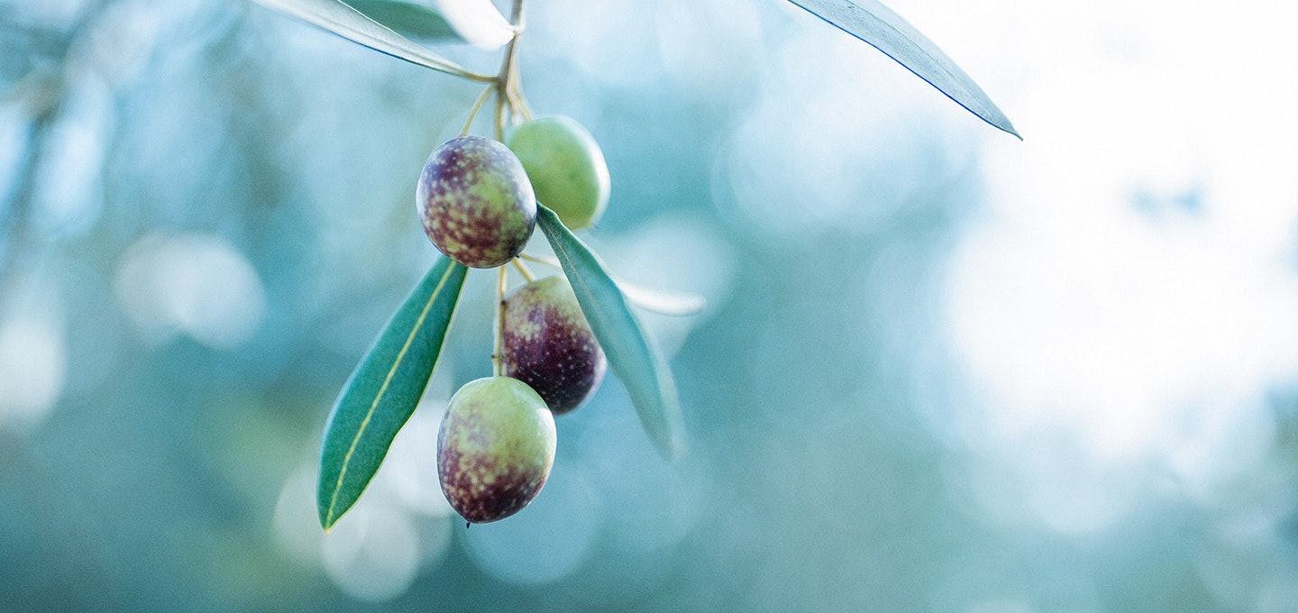 体験詳細トップ