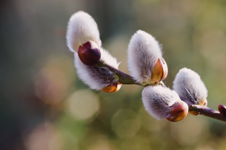 新着体験のお知らせ −2026年3月−