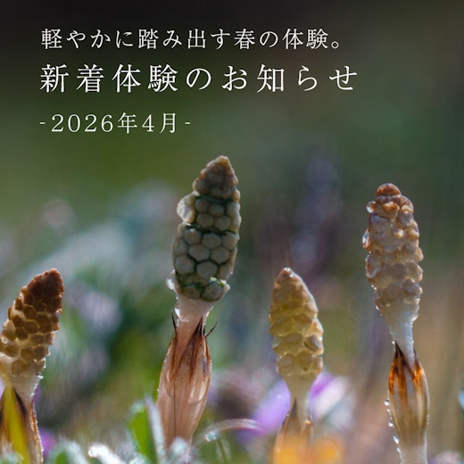 新着体験のお知らせの画像