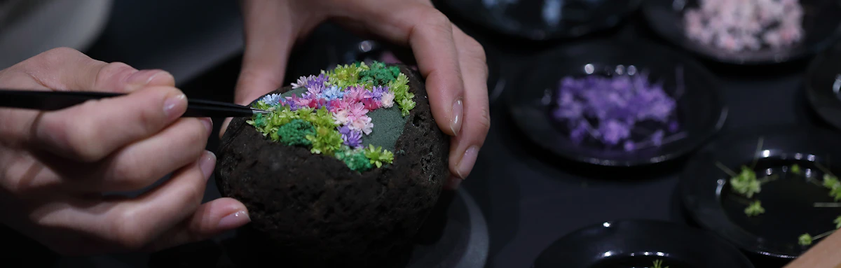 植物体験の体験一覧のアイキャッチ画像